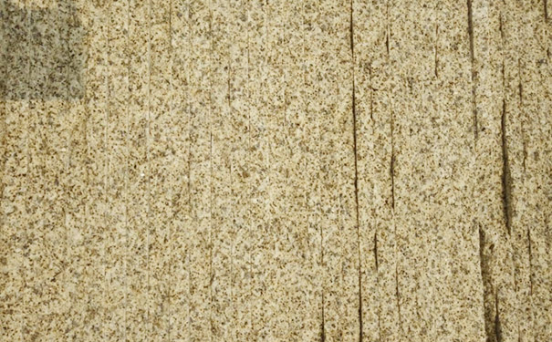 山東黃金麻.jpg 山東黃金麻.jpg